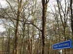 Eelerberg